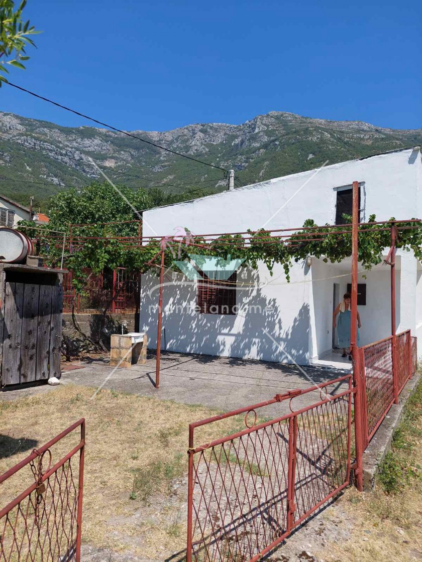 House, offers sale, BAR, SUTOMORE, Montenegro, 50M, Price - 55000€
