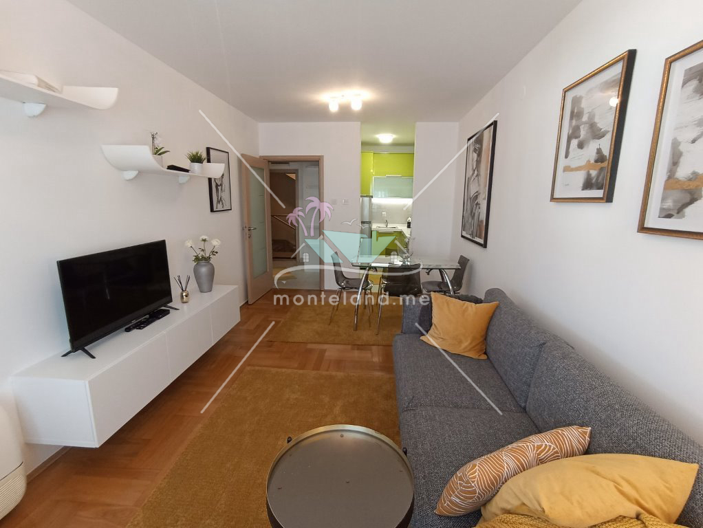 Apartment, Long term rental, PODGORICA, PREKO MORAČE, Montenegro, 43M, Price - 500€