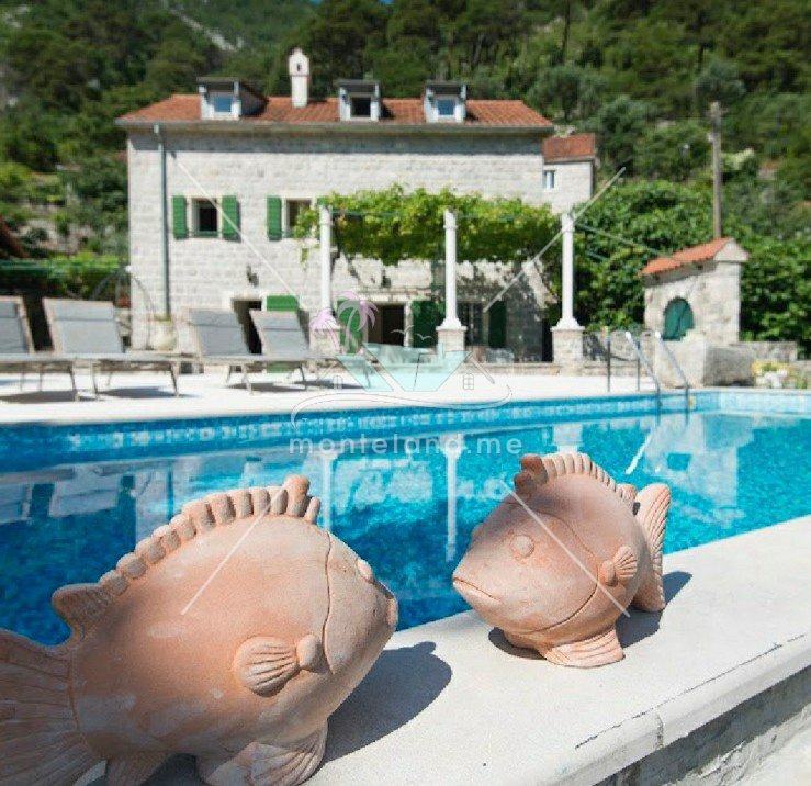 Apartment, offers vacation, KOTOR, PRČANJ, Montenegro, Price - 500€