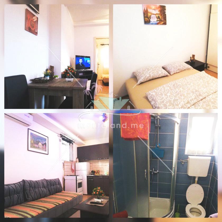Apartment, offers vacation, SREMSKA MITROVICA, SREMSKA MITROVICA, Montenegro, 38M, Price - 17€
