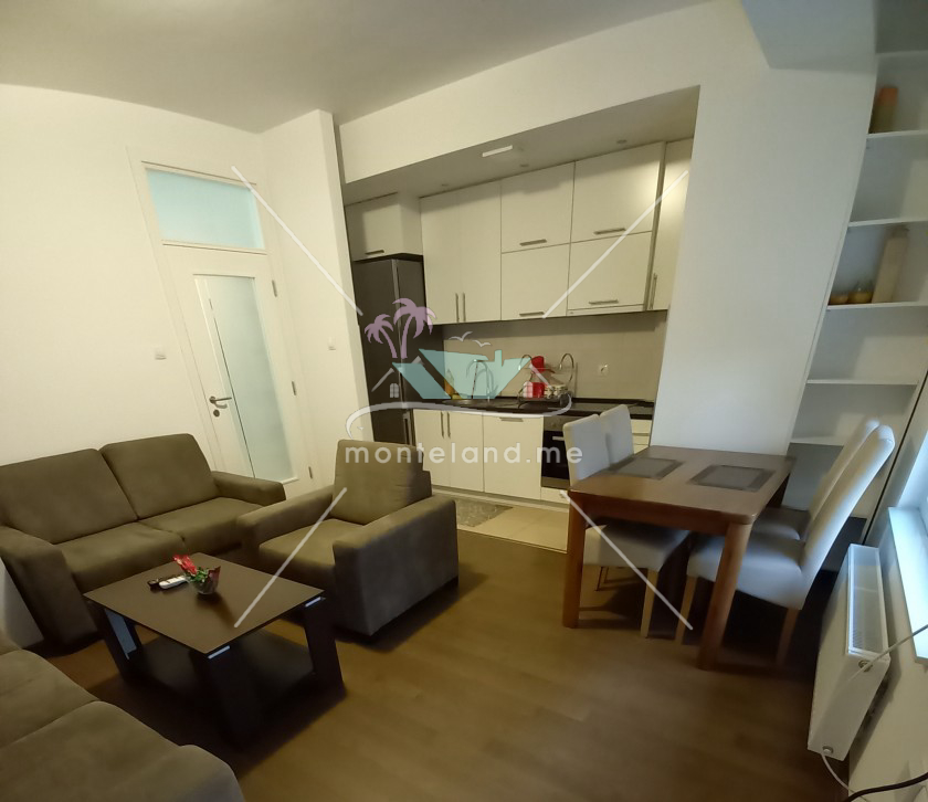 Apartment, offers vacation, BANJA LUKA, STARČEVICA, Montenegro, 57M, Price - 30€